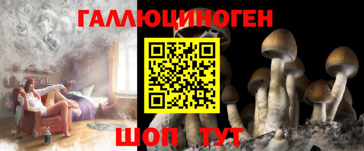 Псилоцибиновые грибы Magic Shrooms  Вход с VPN  Фрязино 